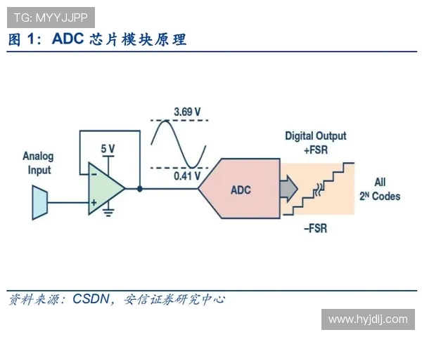ViperADC带你深入分析ADC位置的核心玩法与策略技巧