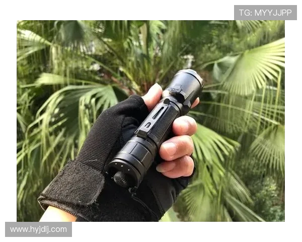 DOTA2巨献:深入解析JDG战队背后的实力与战术秘密