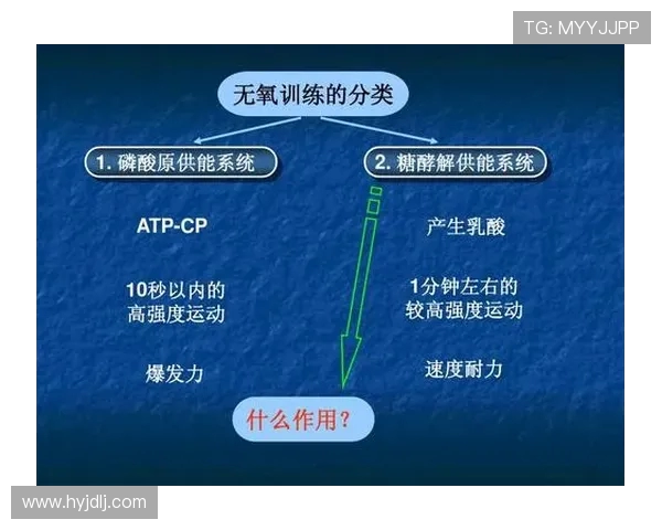 深入分析上海羽毛球队独特的防守战术与策略解析