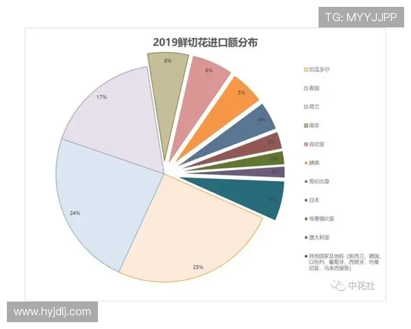 独家分析：武汉乒乓球队的实力对比