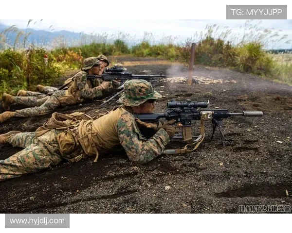 Viper射手在战术应用中的独特价值与战略分析探讨